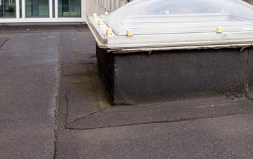 disadvantages of Tre Mostyn flat roofs